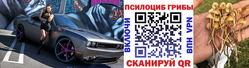 Галлюциногенные грибы Cubensis цены Котельниково